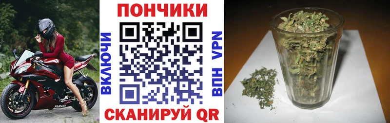 Конопля MAZAR  купить наркотики цена  Отрадное 